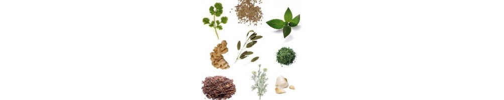 Plantas medicinales ~ Herbolarios natura